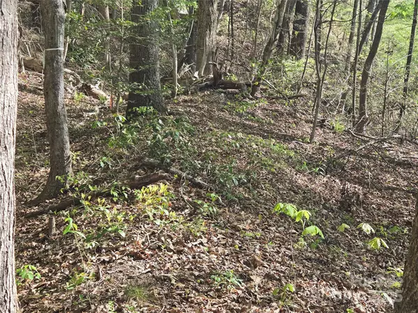 Lake Lure, NC 28746,Lot 172 West Lake DR N