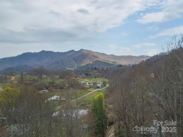 Waynesville, NC 28785,99999 Molasses WAY #18