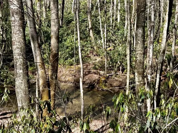 Robbinsville, NC 28771,0 Little Snowbird RD