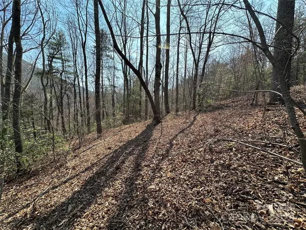 Hendersonville, NC 28792,TBD Wood Stone DR #14