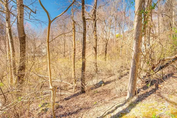 Hendersonville, NC 28739,461 Somersby Pkwy