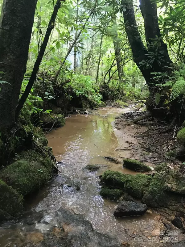 Purlear, NC 28665,00 Summit RD