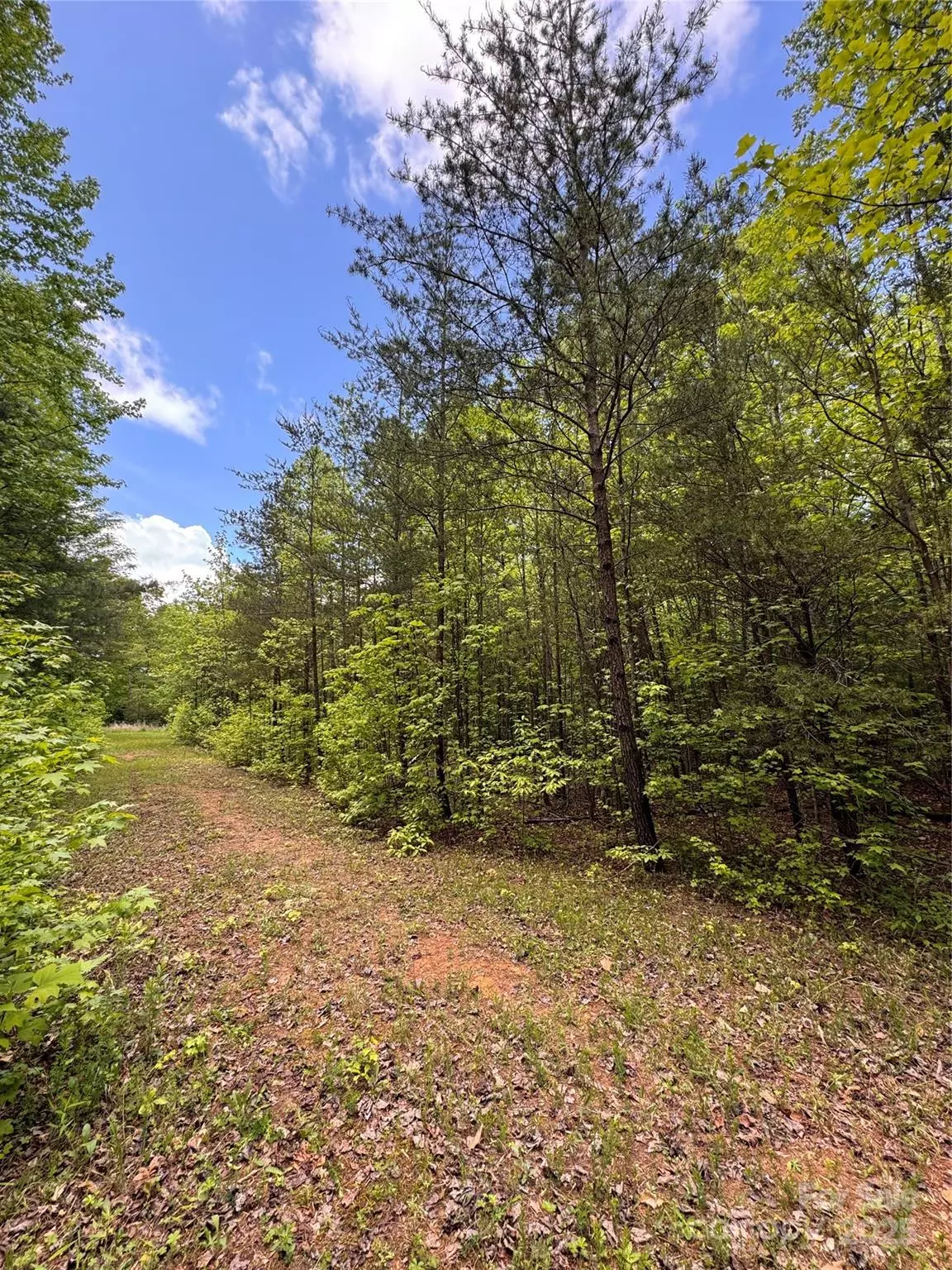 Marion, NC 28752,115 Hailees DR