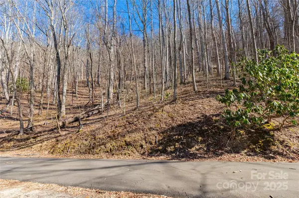 Leicester, NC 28748,TBD Halfmoon RDG
