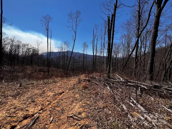 0 Rocky Face DR #RF-2, Canton, NC 28716