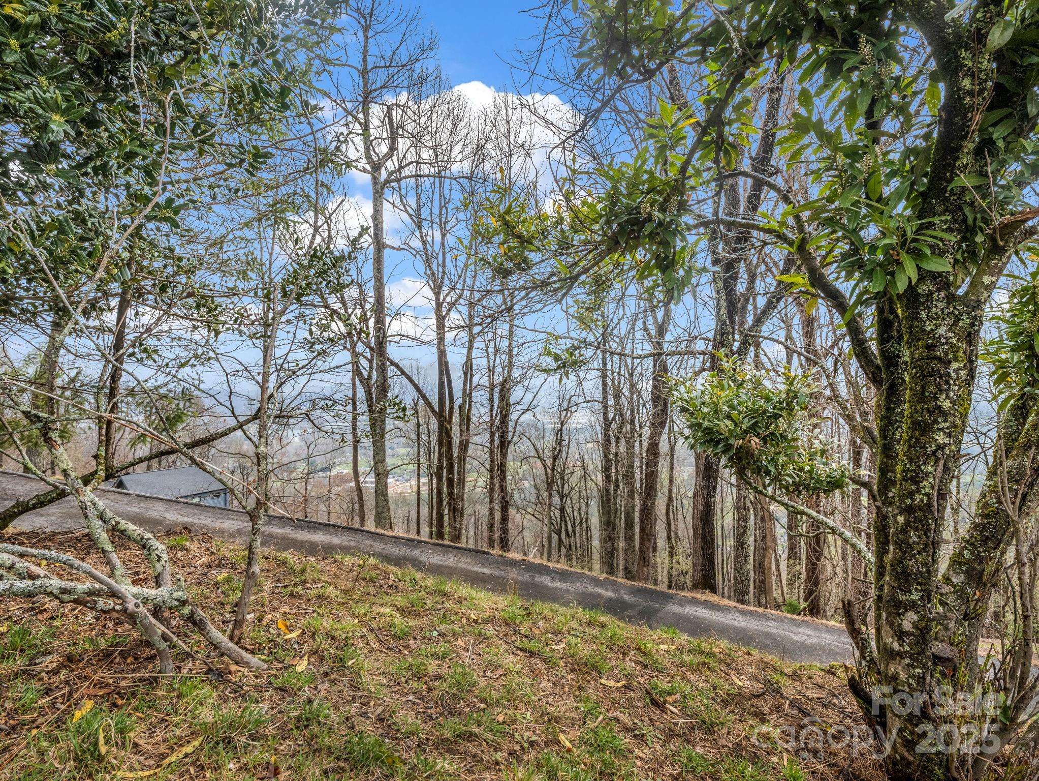 Mills River, NC 28759,5 Chestnut Top CIR