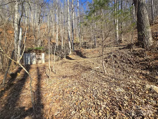 Cullowhee, NC 28723,32 Black Mountain RD