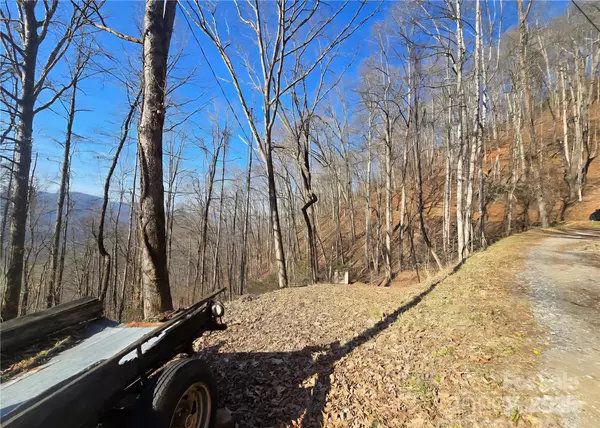 Cullowhee, NC 28723,32 Black Mountain RD