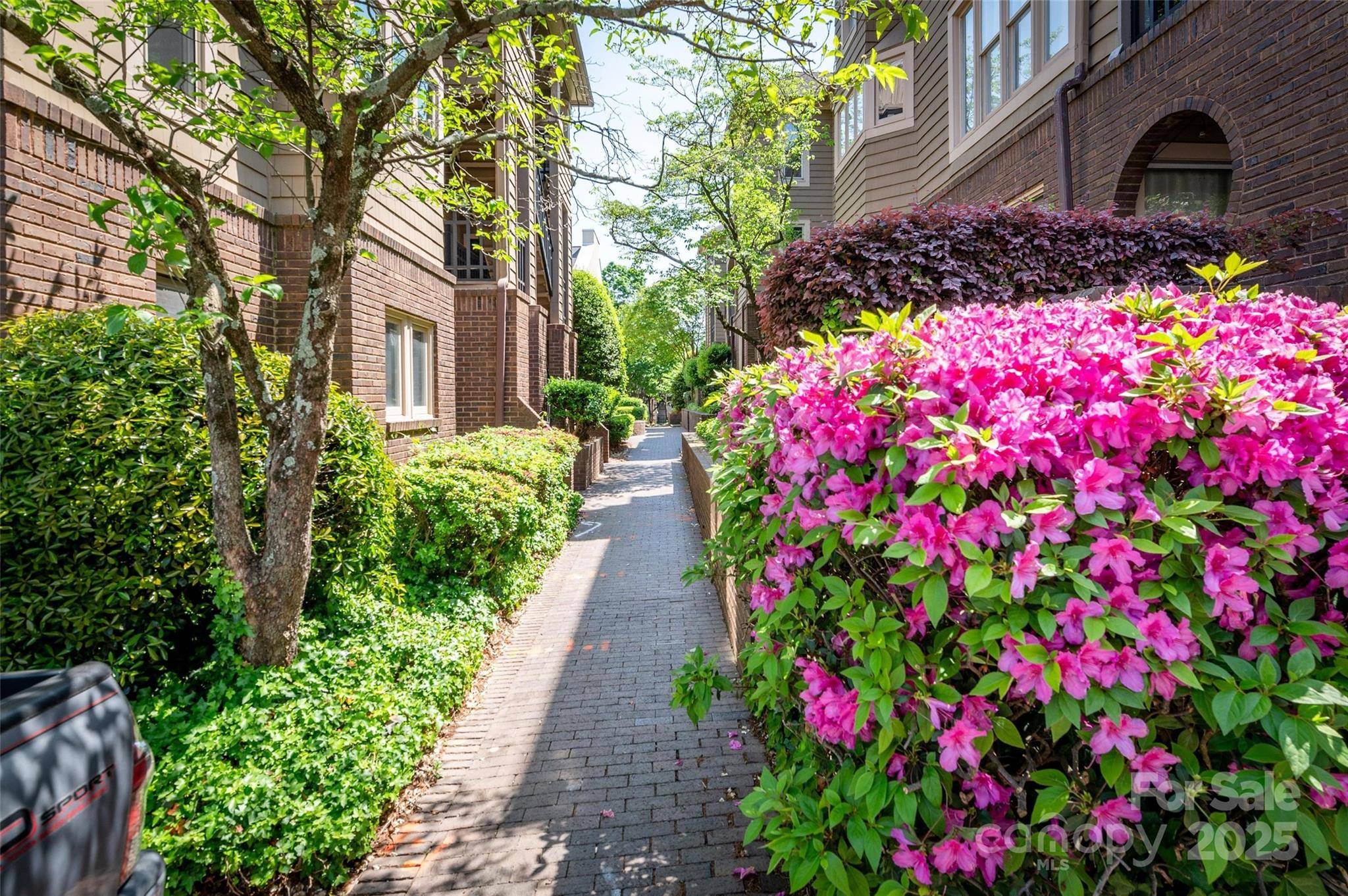 1101 E Morehead ST #31, Charlotte, NC 28204