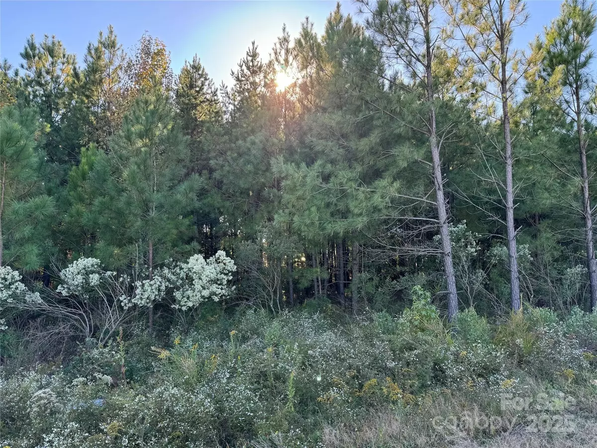 Albemarle, NC 28001,00 NE CONNECTOR BYP