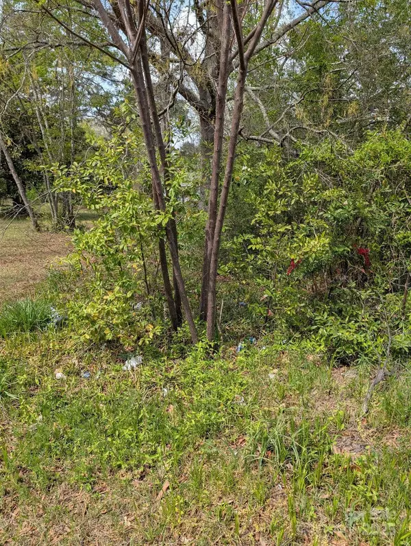 Hartsville, SC 29551,332 Marion AVE