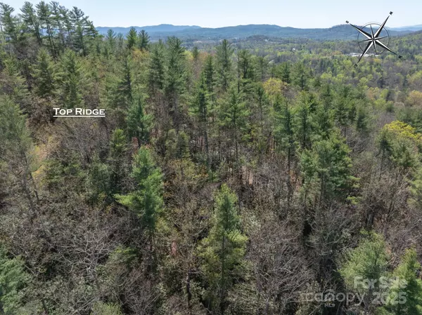 Hendersonville, NC 28792,137 Onuska View DR