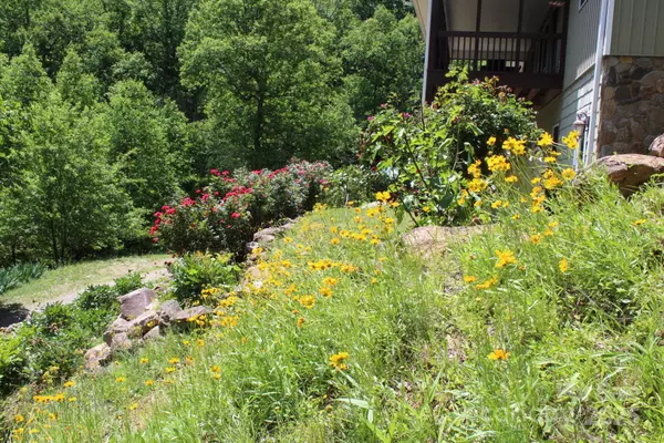 Moravian Falls, NC 28654,337 Roberson School RD