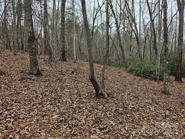 Rutherfordton, NC 28139,000 HWY 108 RD