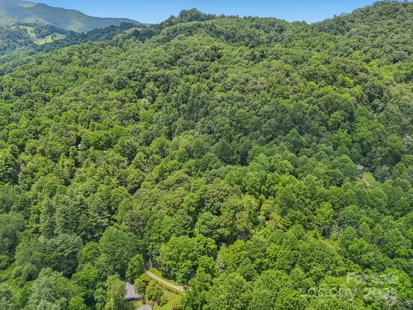 Canton, NC 28716,0000 Everidge DR