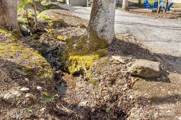 Maggie Valley, NC 28751,21 Susan DR