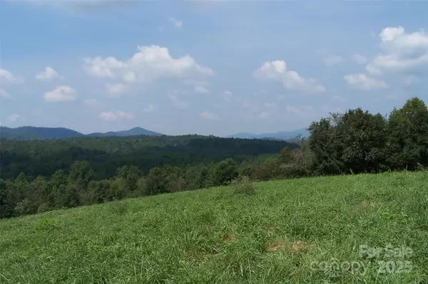 Casar, NC 28020,0 Mt Zion Church RD