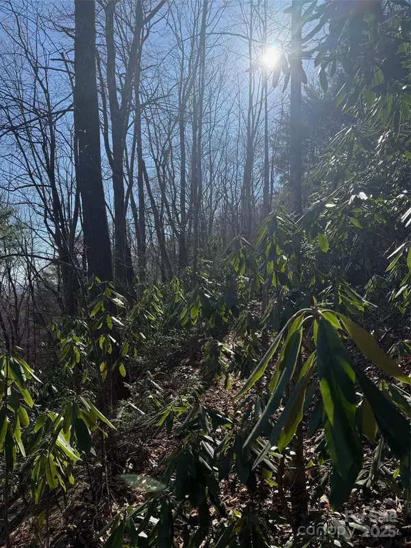 Lenoir, NC 28645,0 Old Sampson RD