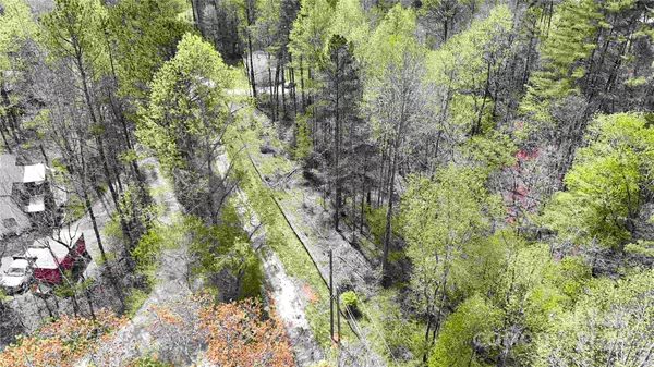 Marble, NC 28905,51 Dead End TRL