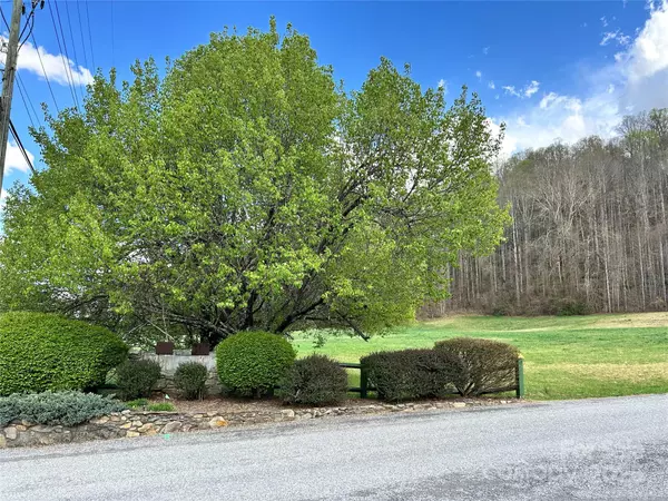 Maggie Valley, NC 28751,0 Hornets Nest RD