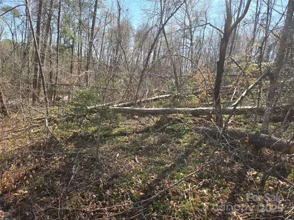 Lake Lure, NC 28746,Lot 15 Jonathan LN