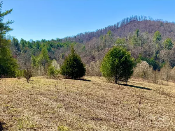 Lenoir, NC 28645,5.69 acres, Lot 504 Equestrian DR #Lot 504