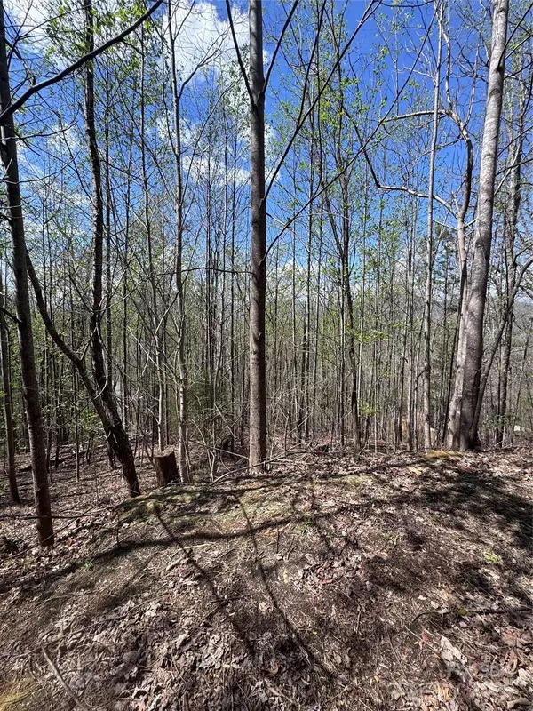 Lake Lure, NC 28746,0 High Pines LOOP #158