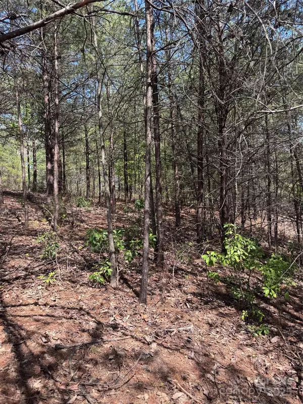 Lake Lure, NC 28746,0 Brookside Pkwy #10