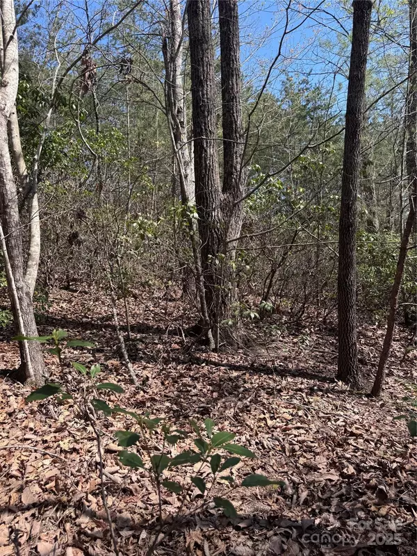 Lake Lure, NC 28746,0 Brookside Pkwy #10