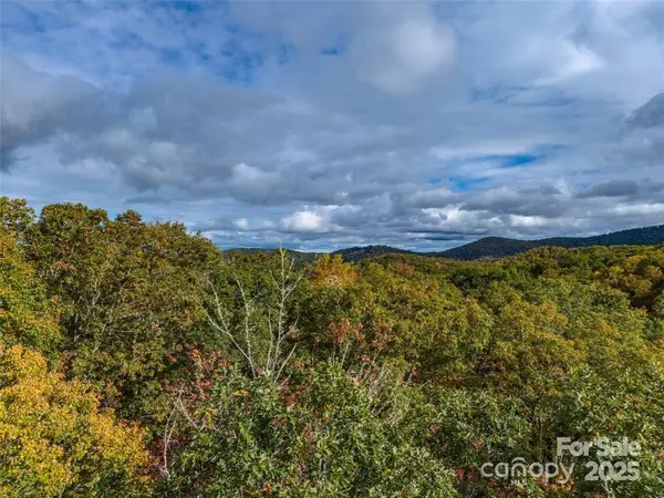 Mills River, NC 28742,99999 Caddis LN #91