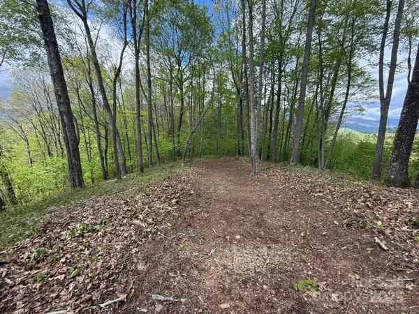 Sylva, NC 28779,1817 E Reach RD #216