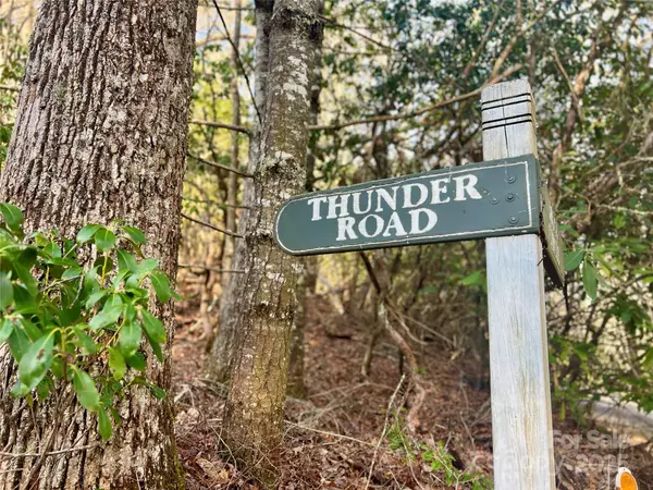 Brevard, NC 28712,Lot 131 Thunder RD