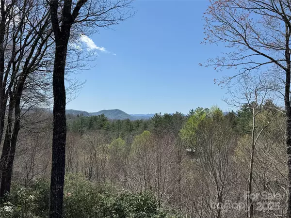Brevard, NC 28712,193 Dvdisdi CT