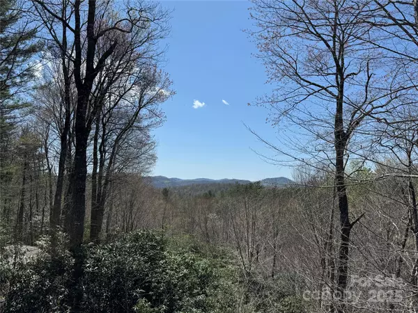 Brevard, NC 28712,193 Dvdisdi CT