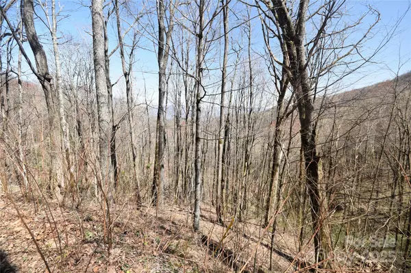 Waynesville, NC 28785,000 Big Laurel RD #A-16 & A-17