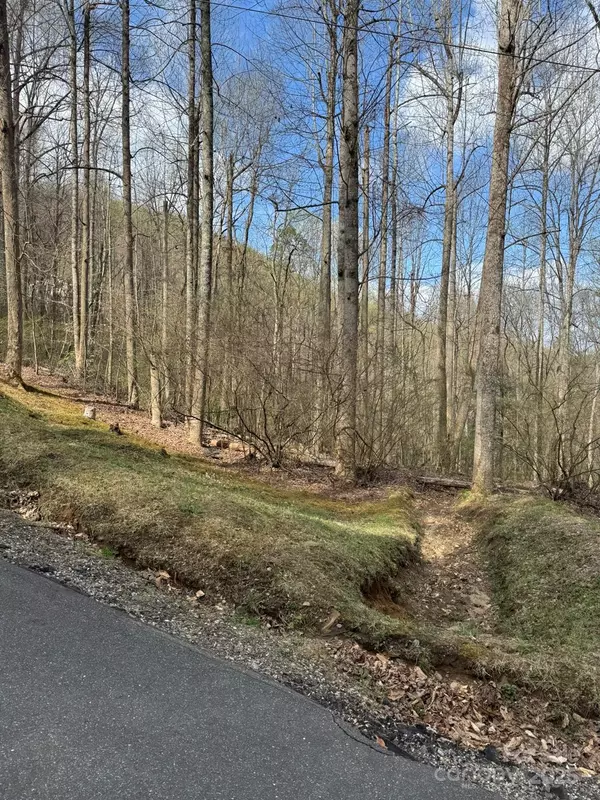 Sylva, NC 28779,0 E Wabash DR