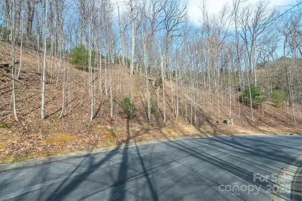 Horse Shoe, NC 28742,0 Shining Rock PATH #12