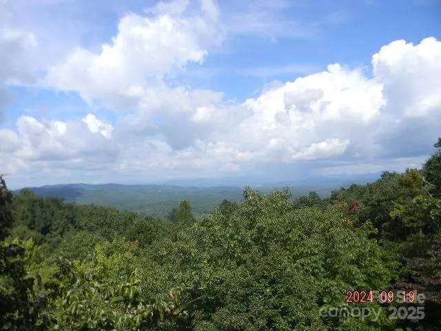 7866 Pinnacle Mountain RD #3 & 4, Zirconia, NC 28790