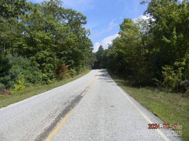 Zirconia, NC 28790,7866 Pinnacle Mountain RD #3 & 4