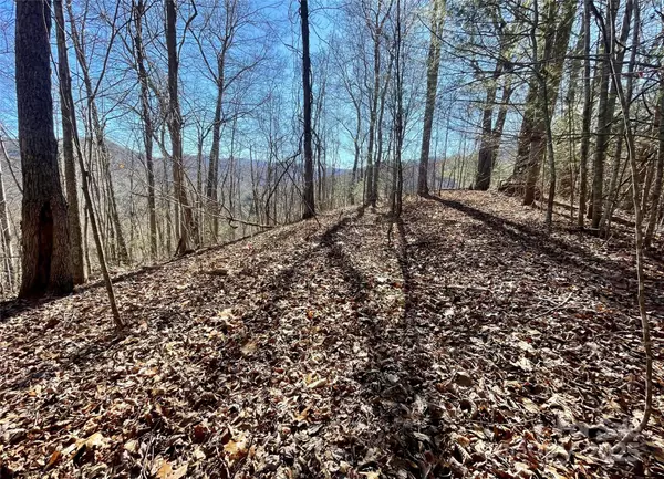 Burnsville, NC 28714,0 McPeters LN