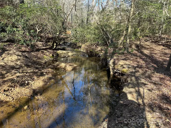 Taylorsville, NC 28681,00 Goose Creek DR