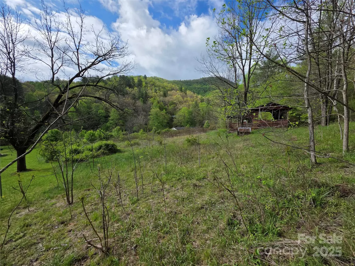 Sylva, NC 28779,00 Greens Creek RD