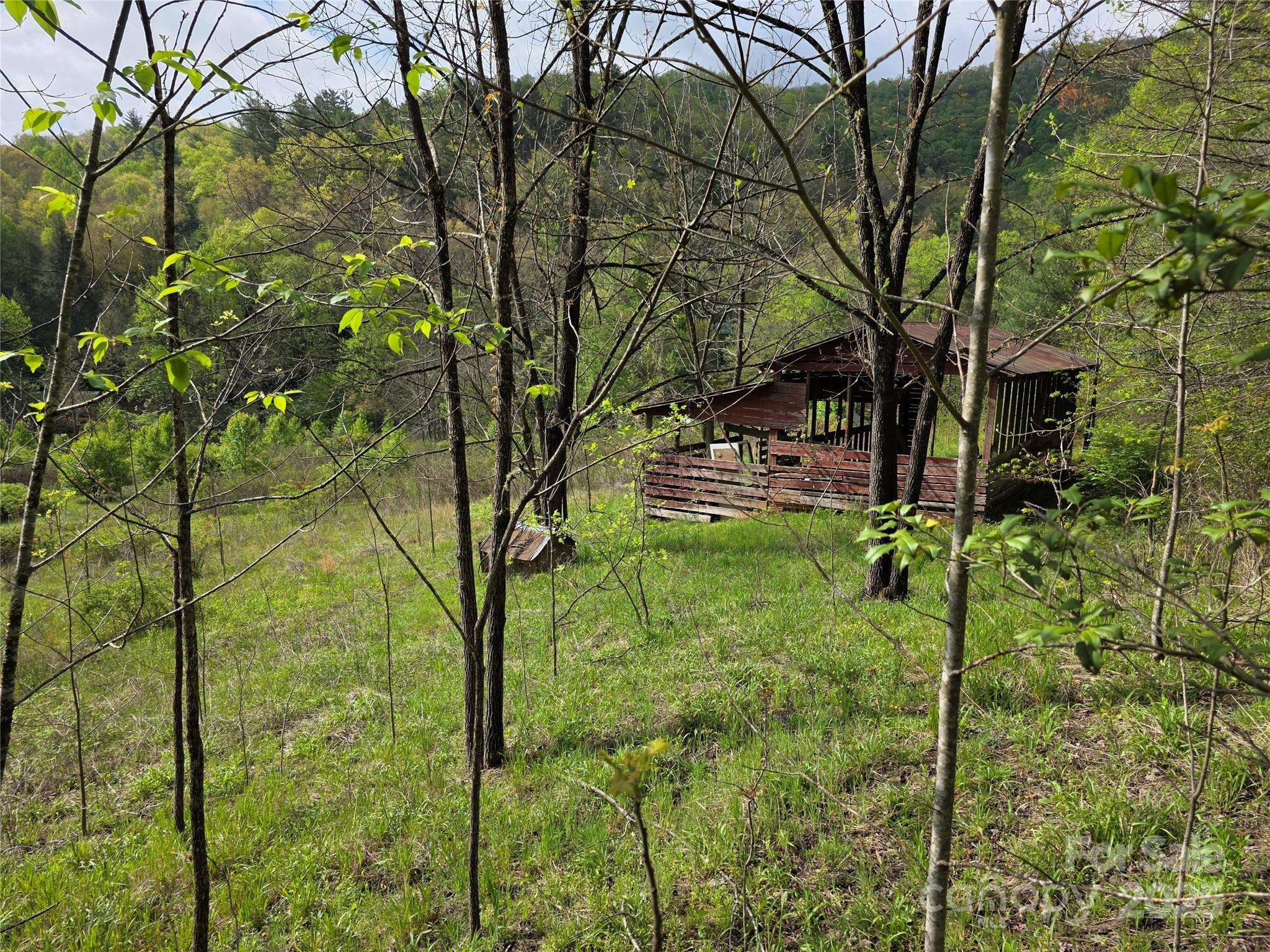 Sylva, NC 28779,00 Greens Creek RD