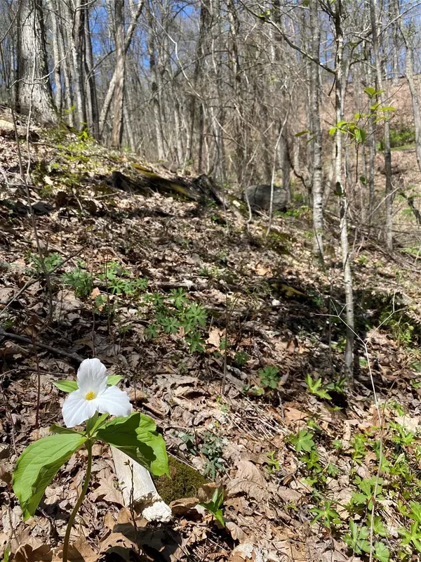 Fairview, NC 28730,99999 Chestnut Forest RD #412 & #413