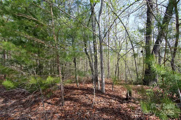 Marion, NC 28752,00 Forest Country DR #48