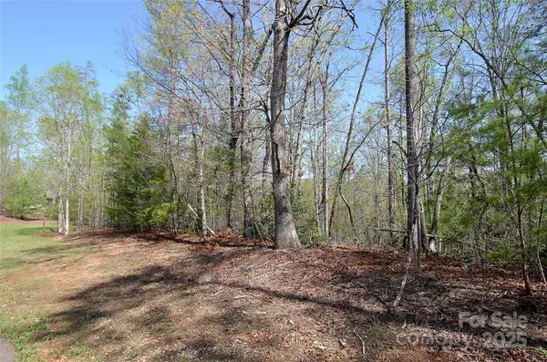 Marion, NC 28752,00 Forest Country DR #48