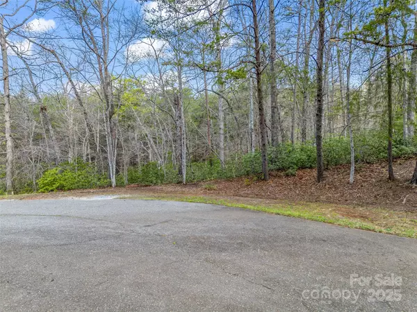 Lake Lure, NC 28746,00 Whiteside CT #83