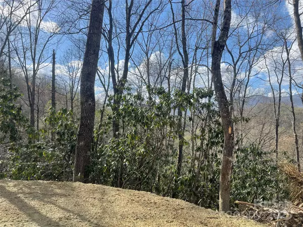 Sylva, NC 28779,5 Copperhead CV
