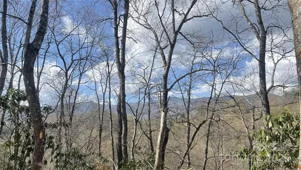 5 Copperhead CV, Sylva, NC 28779