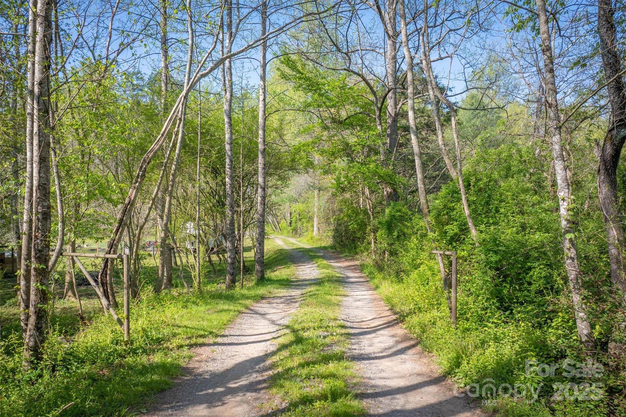 Lenoir, NC 28645,4081 Pigtail RD
